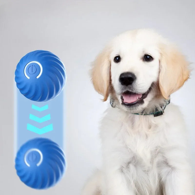Automatic Moving Dog Ball