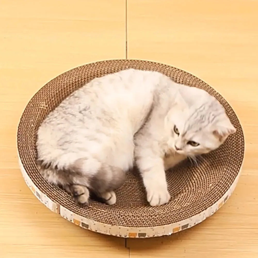 Carboard Cat Bed