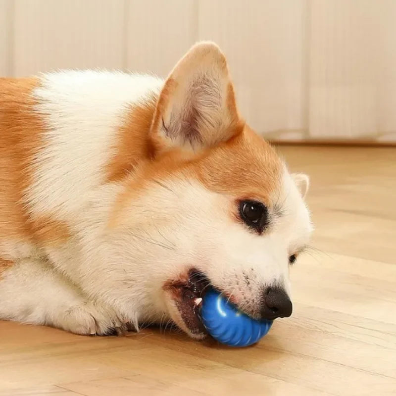 Automatic Moving Dog Ball