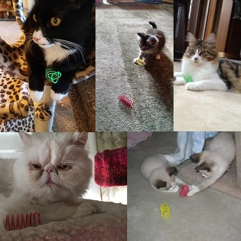 Cat Spring Toy