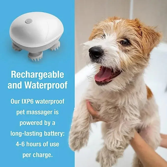 Electric Cat And Dog Massager