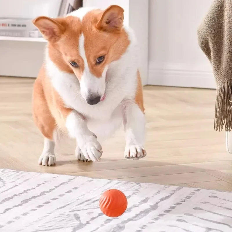 Automatic Moving Dog Ball