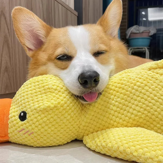 Dog Plush Toy