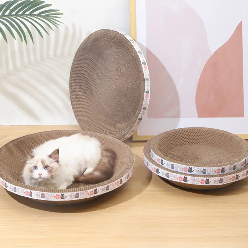 Carboard Cat Bed