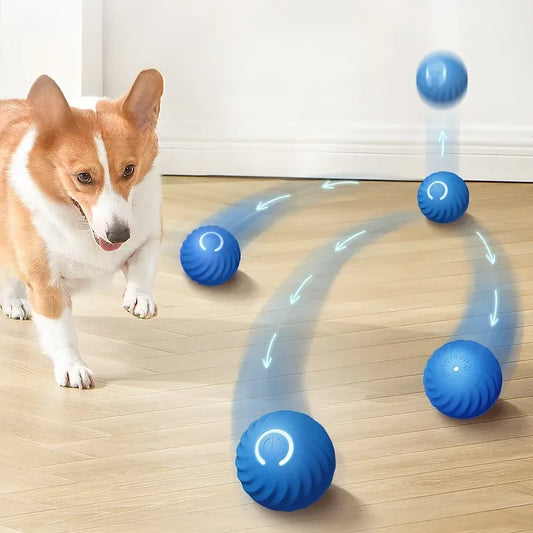 Automatic Moving Dog Ball