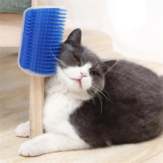 Cat Wall Massage Brush